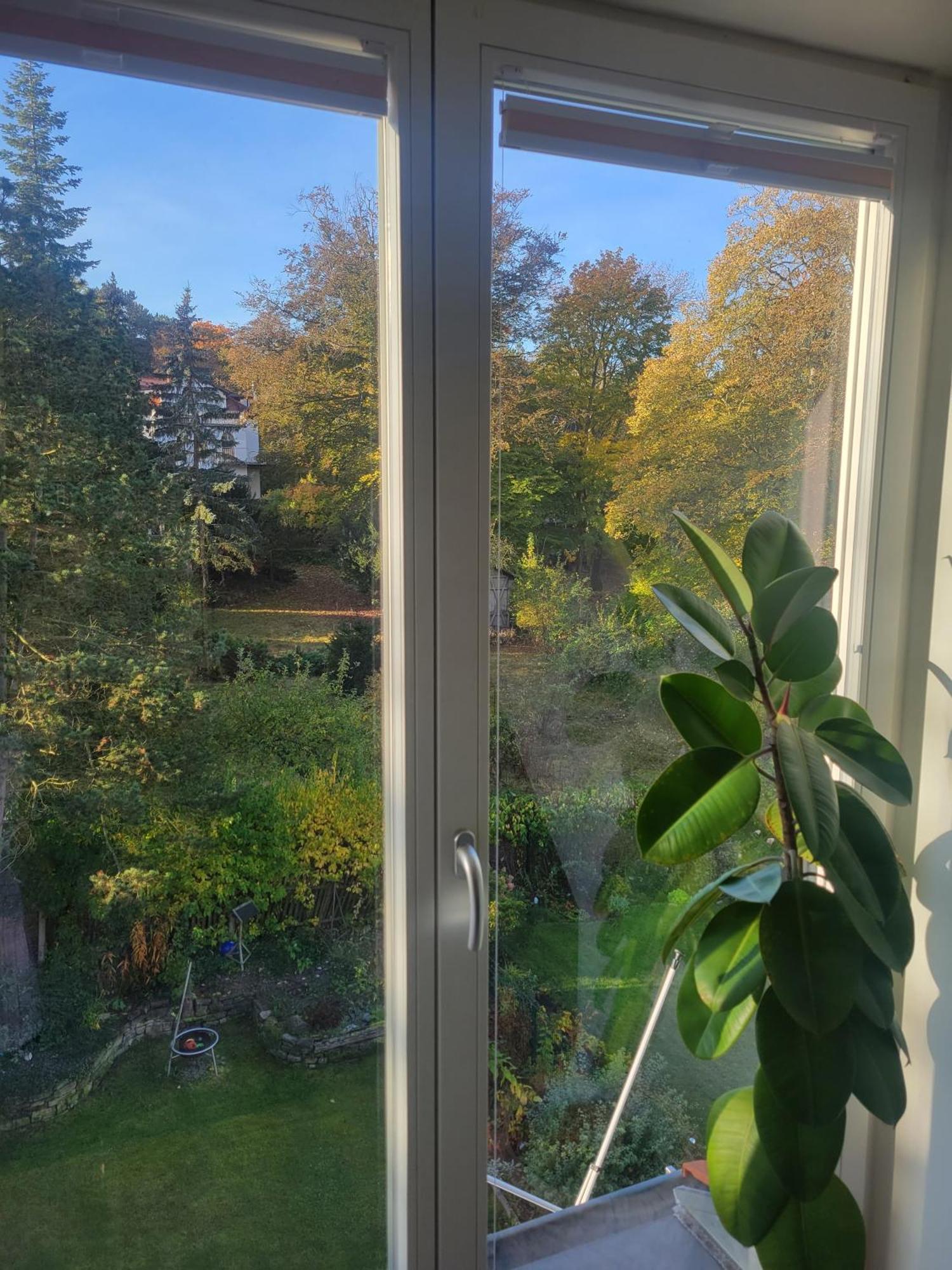 Apartmán Wohnen Am Steiger In Erfurt Sued Exteriér fotografie